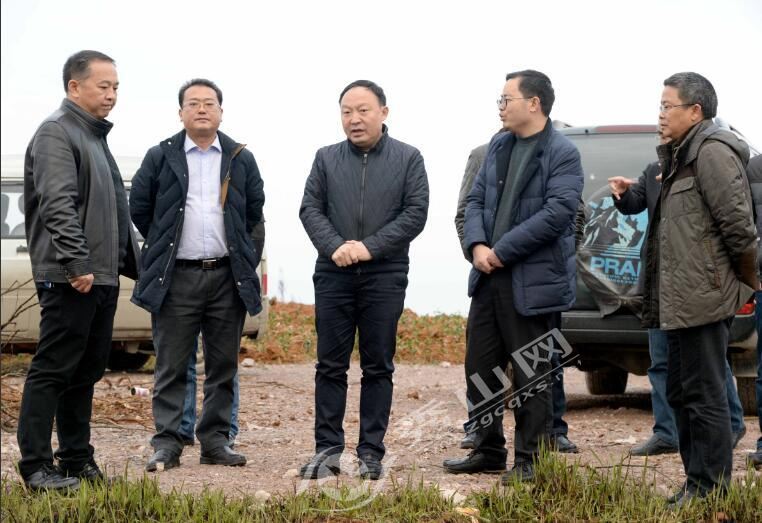 华龙网讯 11月30日下午,县委书记王杰在梅江镇兴隆坳现代农业示范园区