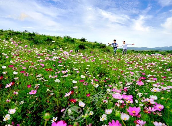 春季赏花哪里行 请到美丽秀山来