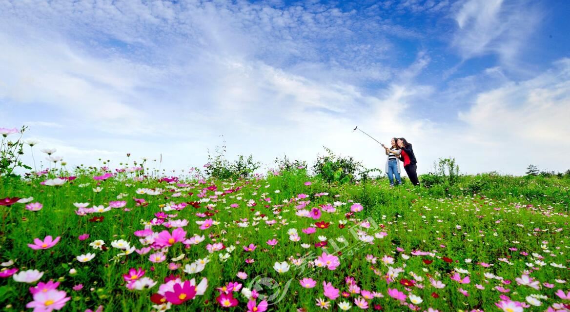秀山旅游产业助推群众脱贫致富