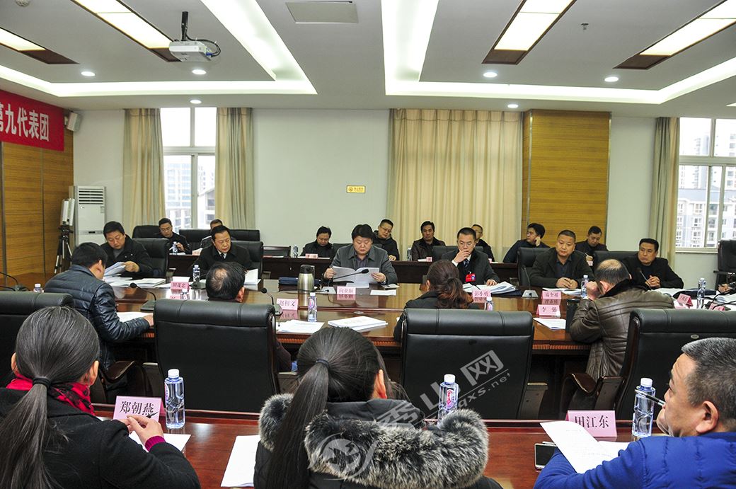 县十七届人大二次会议举行分组讨论