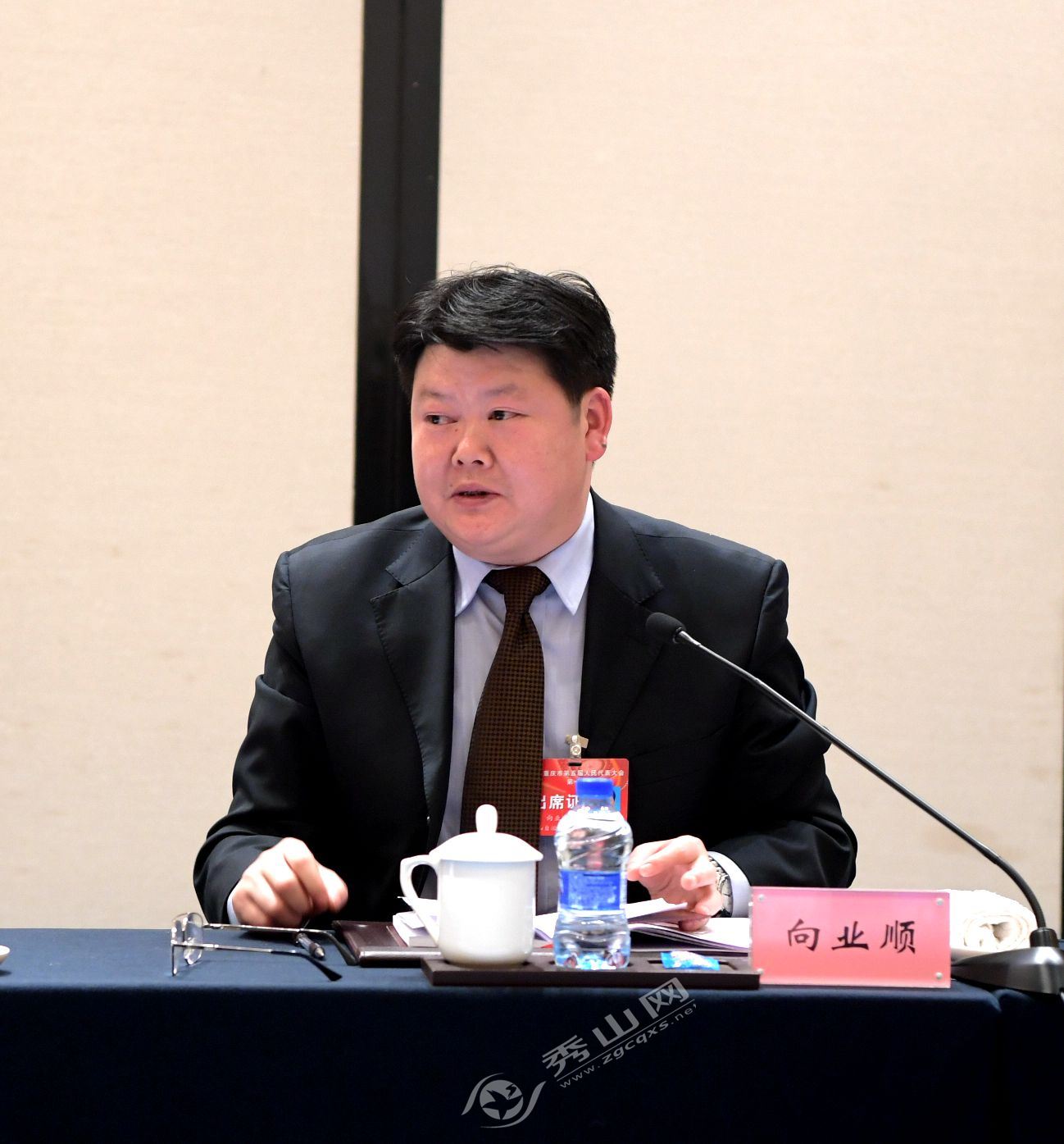 秀山代表团认真审议市人民政府工作报告