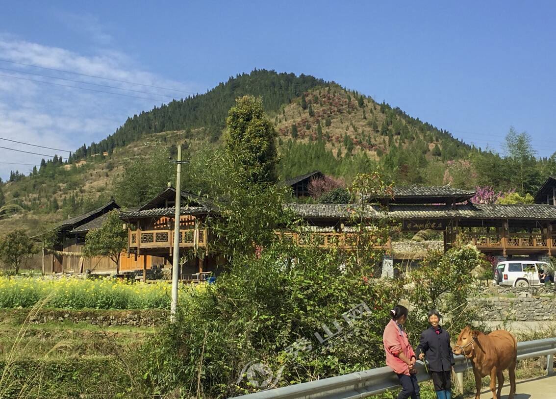 洪安贵亚村:抓产业 深耕希望的田野