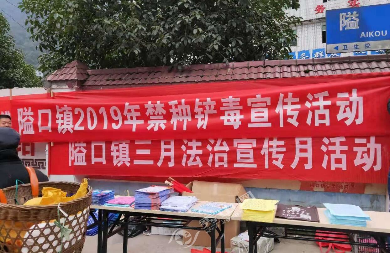 隘口镇:开展春季禁种铲毒宣传活动