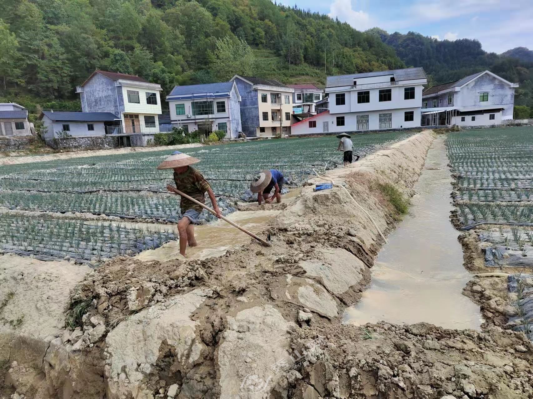 青龙村地名网_云南省楚雄彝族自治州禄丰县黑井镇青龙村资料简介